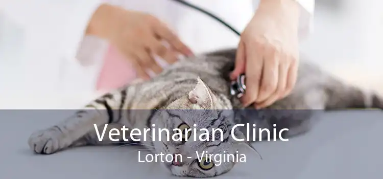 Veterinarian Clinic Lorton - Virginia
