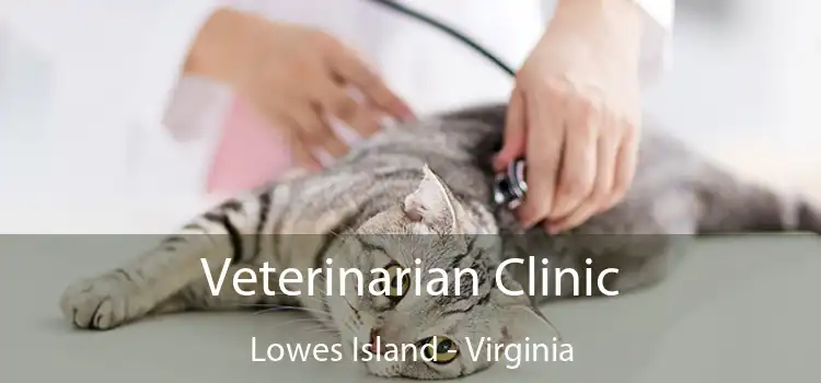 Veterinarian Clinic Lowes Island - Virginia