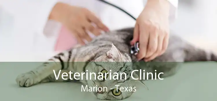 Veterinarian Clinic Marion - Texas
