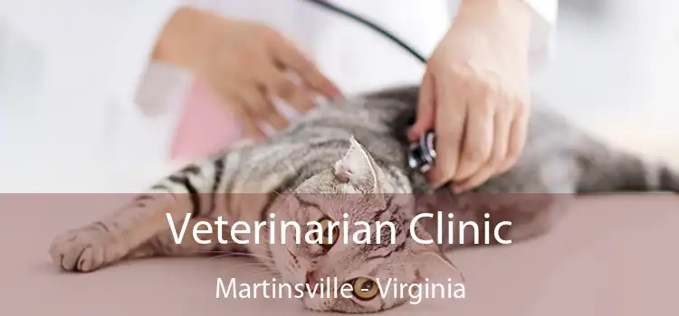 Veterinarian Clinic Martinsville - Virginia