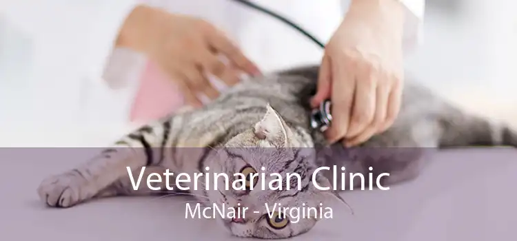 Veterinarian Clinic McNair - Virginia