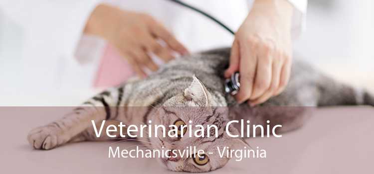 Veterinarian Clinic Mechanicsville - Virginia