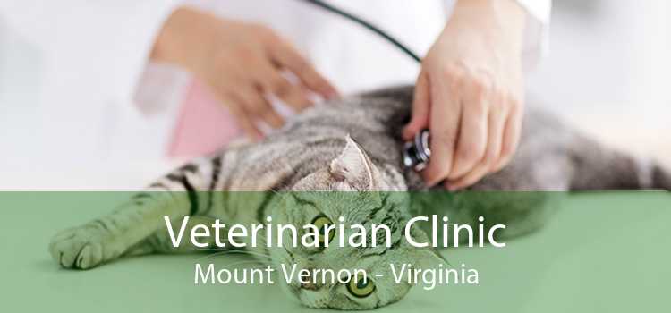 Veterinarian Clinic Mount Vernon - Virginia