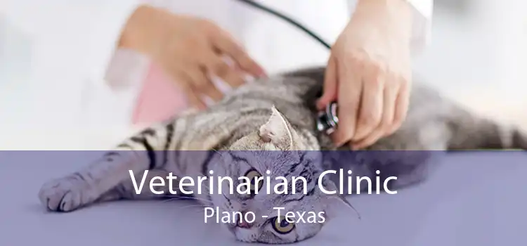 Veterinarian Clinic Plano - Texas