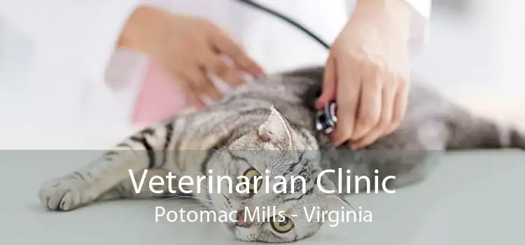 Veterinarian Clinic Potomac Mills - Virginia