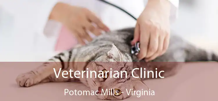 Veterinarian Clinic Potomac Mills - Virginia