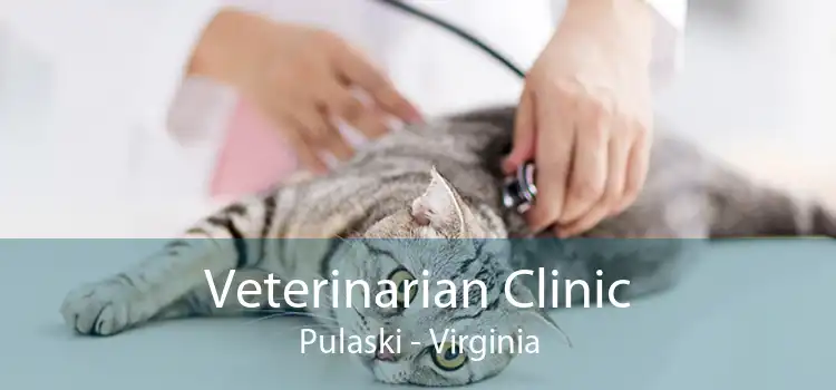 Veterinarian Clinic Pulaski - Virginia