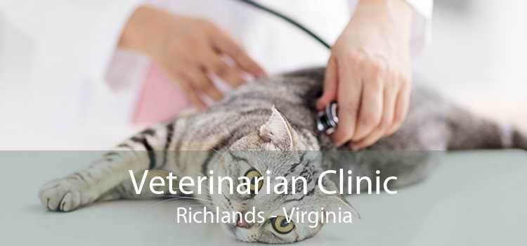 Veterinarian Clinic Richlands - Virginia