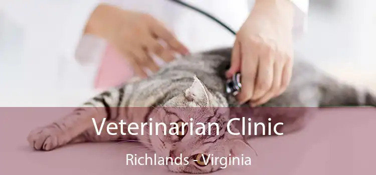 Veterinarian Clinic Richlands - Virginia