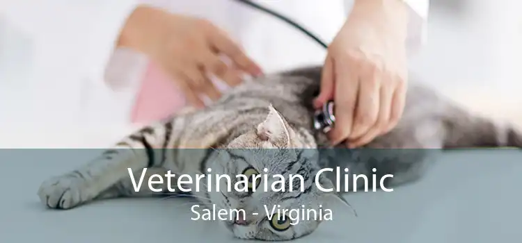 Veterinarian Clinic Salem - Virginia
