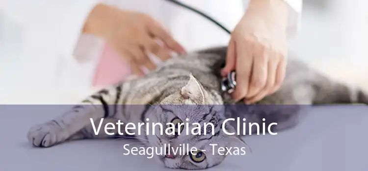 Veterinarian Clinic Seagullville - Texas