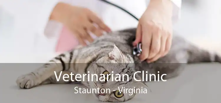 Veterinarian Clinic Staunton - Virginia