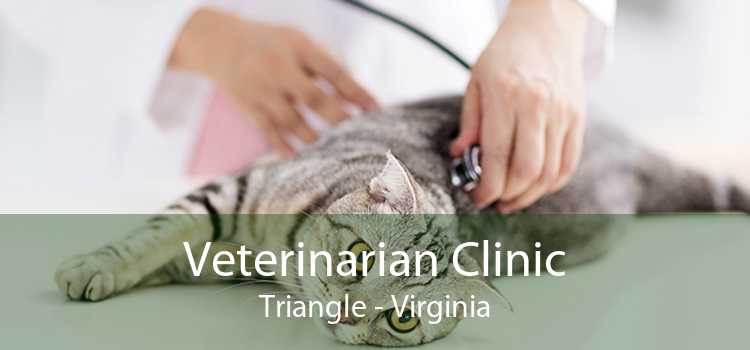 Veterinarian Clinic Triangle - Virginia