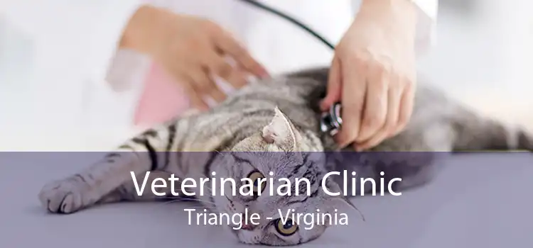 Veterinarian Clinic Triangle - Virginia