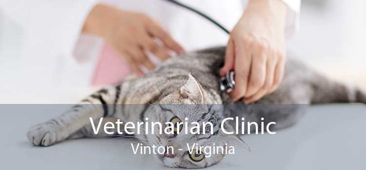 Veterinarian Clinic Vinton - Virginia