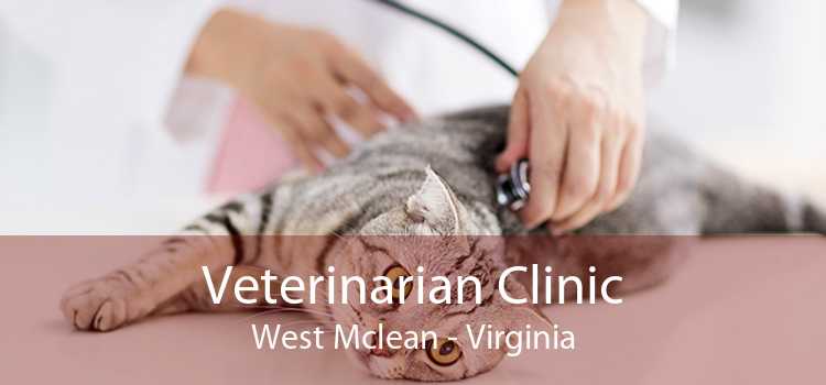 Veterinarian Clinic West Mclean - Virginia
