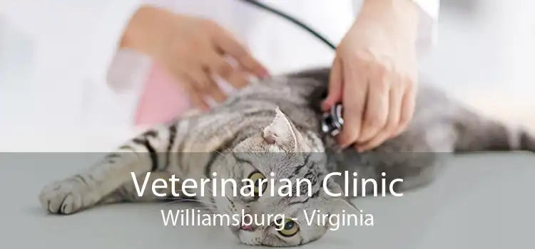 Veterinarian Clinic Williamsburg - Virginia