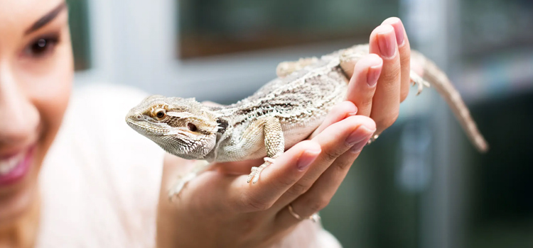  vet care for reptiles procedure in Quantico Base